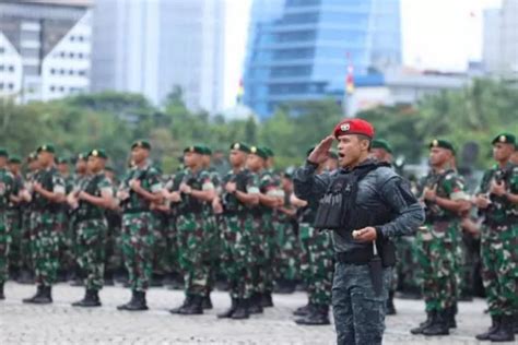 Ini Daftar Gaji TNI AD AL Dan AU Lengkap Dengan Tunjangannya Mulai Dari Pangkat Tamtama