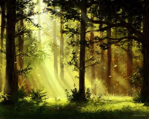 Sunlit Trees By Rachopin77 On Deviantart Landscape Scenery Forest