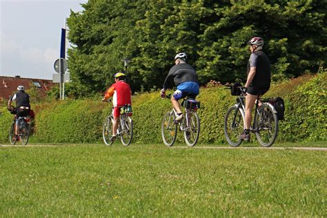 Naturfreunde Bewegen Radtour Auf Der Deutschen Alleenstraße Ca 50