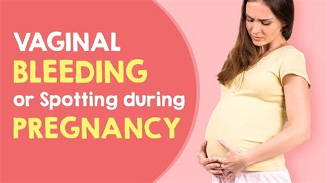 Finally, spotting during pregnancy can indeed be caused by miscarriage, whether missed or impending. Vaginal Bleeding or Spotting During Pregnancy - YouTube