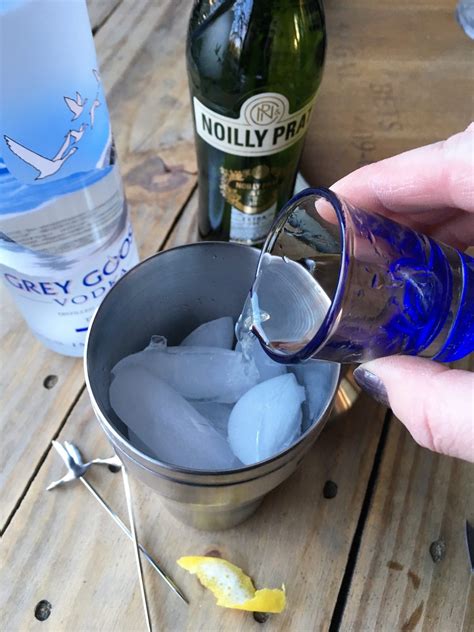 Check spelling or type a new query. Martini Holidays with Grey Goose Gift Packs! | Classic ...