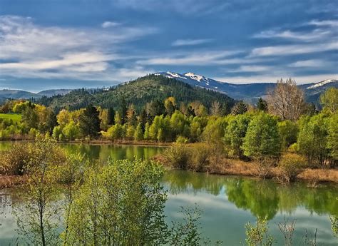 Fondos De Pantalla Árboles Bosque Montañas Colina Lago Agua