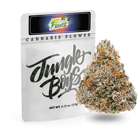 Gelato Fuel By Jungle Boys 35g Flower Medijuana Care