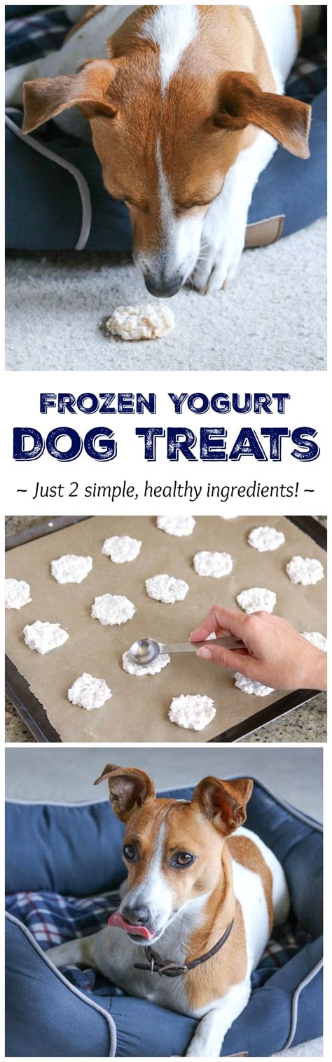 2 Ingredient Frozen Dog Treat Recipe That Uses Up