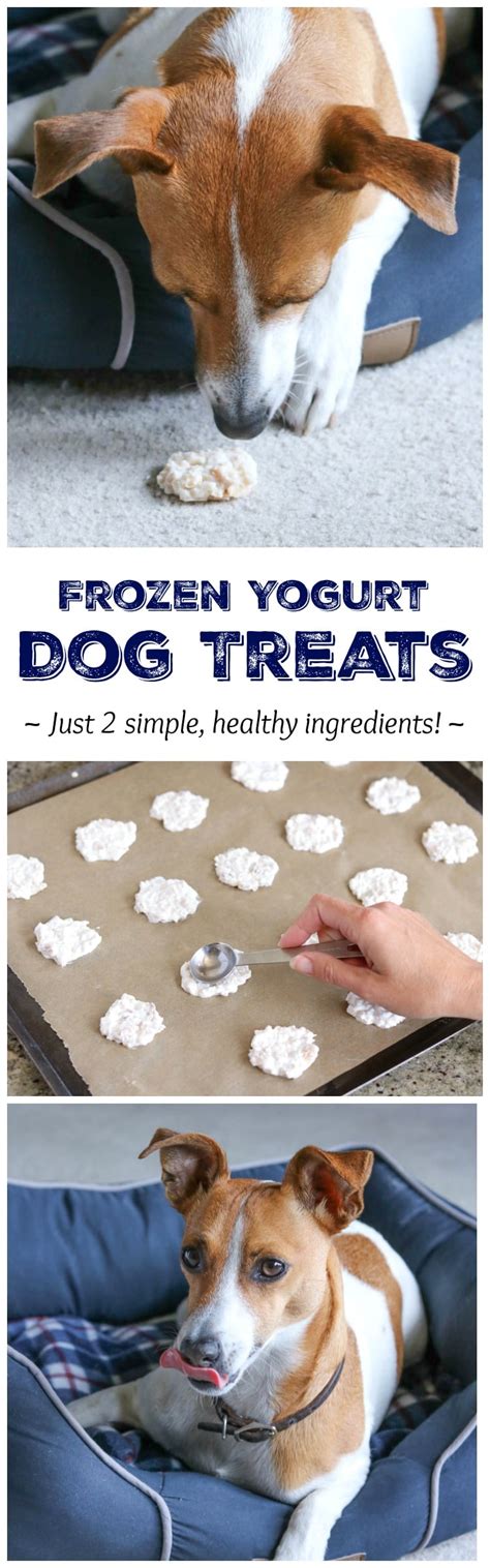 These diy homemade dog treats are easy to make and safe for your pup to eat. 2-Ingredient Frozen Dog Treat Recipe (That Uses Up ...