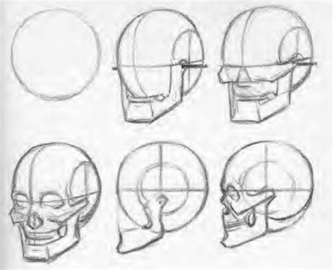 Facial Proportions And Sculpting A Face Beginners School