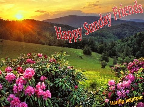Happy Sunday Friends - DesiComments.com