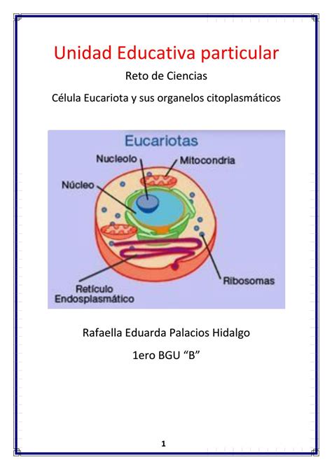 Célula Eucariota Y Sus Organelos Citoplasmáticos By Rafaella Eduarda
