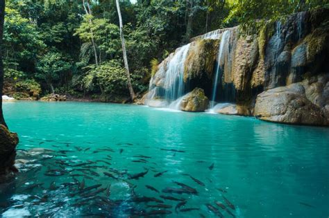 A Complete Hiking Guide To Erawan Falls Thailand In 2024