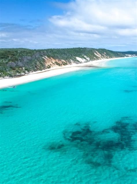 Fraser Island Day Trip From Hervey Bay Explore West Coast Fraser