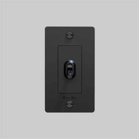 Toggle Light Switches Designer And Contemporary Light Switches Buster