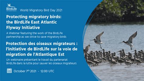 World Migratory Bird Day 2021 Birdlife International
