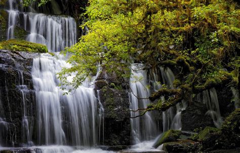 Wallpaper Trees Waterfall New Zealand Cascade New Zealand Otago