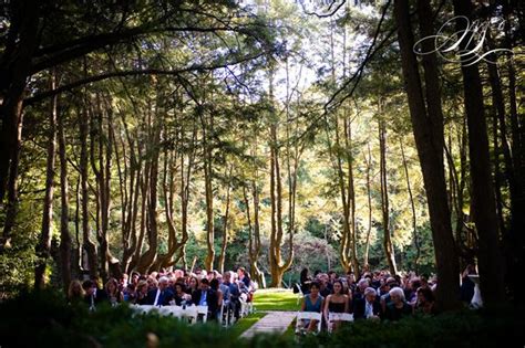 Woodend Sanctuary Forest Wedding Outdoor Ceremony Tree