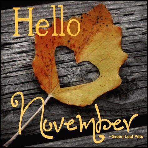 Happy November Wishing You And Yours A Wonderful Month Of November