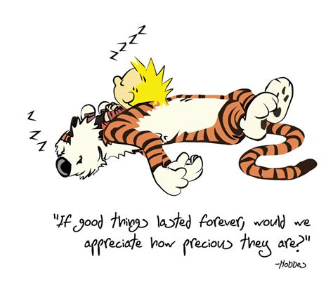 Calvin And Hobbes Quotes On Love Quotesgram