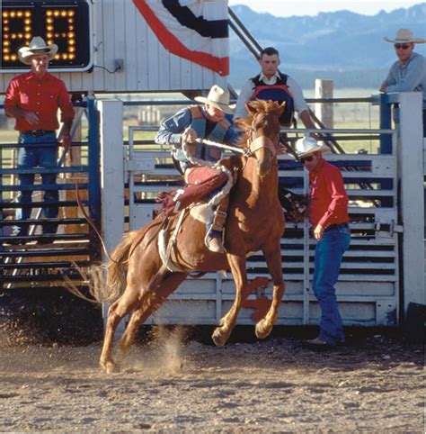 Rodeos And Rodeo Events Bryce Canyon Region