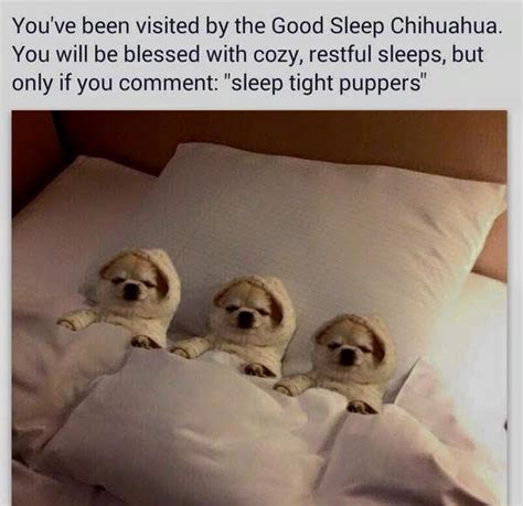 Sleep Memes Here Are Some Of The Best Sleeping Memes Online