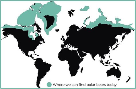 Fascinating Facts All About Polar Bears Its Our Planet Too