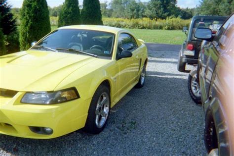 2001 Zinc Yellow Mustang Cobra Svtrare For Sale In Markleysburg