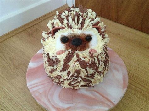 a hedgehog cake sitting on top of a pink plate with white frosting and chocolate sprinkles