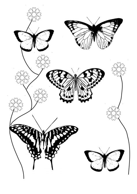 Printable Coloring Pages Flowers And Butterflies Leticia Kirk