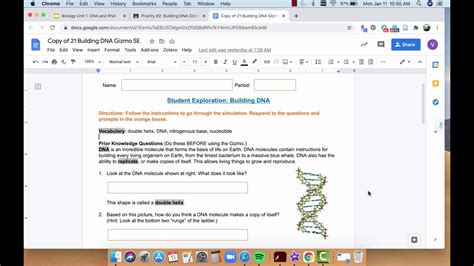 What is the structure of dna? Gizmo Building Dna Answers - Http Mrswhittsweb Pbworks Com ...