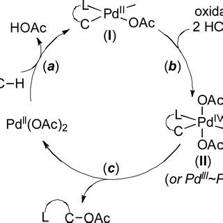 After cooling, ethynylbenzene (1.3 equiv.), pph3. (PDF) Nitrate as a Redox Co-Catalyst for the Aerobic Pd ...
