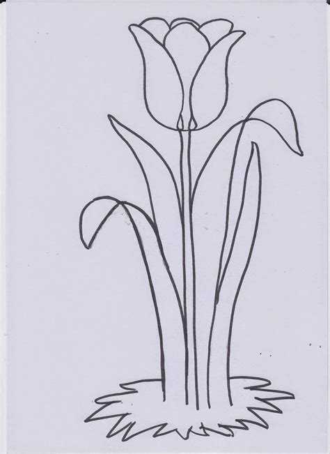 1 martie martisor * desen de. BLOGUL-MARYAM-BM: FLORI - IMAGINI DE COLORAT