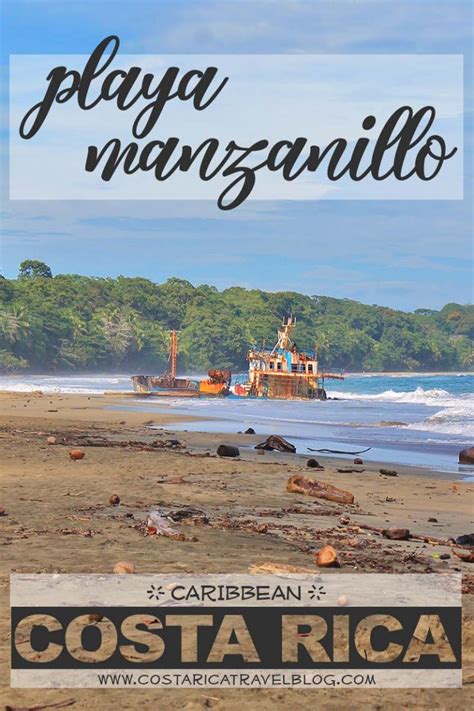 2024 Photos Of Playa Manzanillo Costa Rica Caribbean From Our