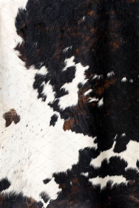 Cow Skin Pattern Texture Black White High Quality Holiday Stock