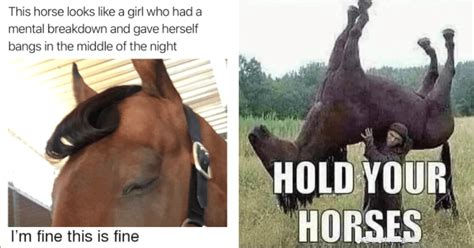 Horsing Around The Internet 16 Horse Memes Before We Gallop Into The