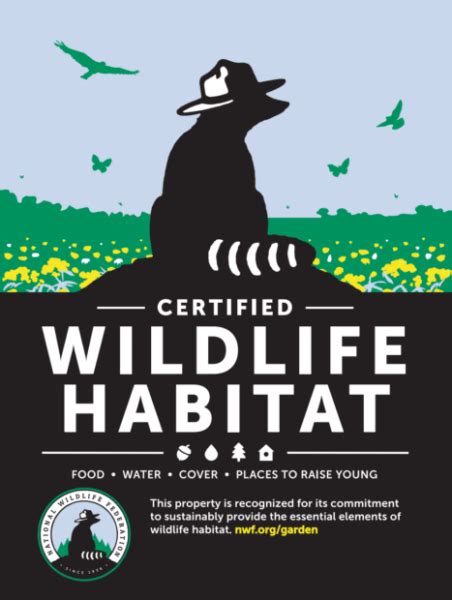 Go Wild How To Certify Your Backyard As Wildlife Habitat Earth Denizens
