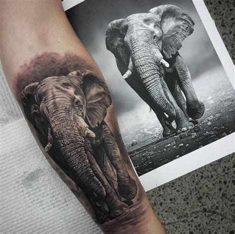 Hyperrealism Elephant Tattoo By Coen Mitchell Elephant Tattoos