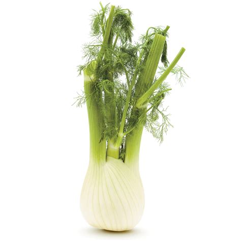 Quinze recettes avec le fenouil. Comment émincer le fenouil - Je Cuisine