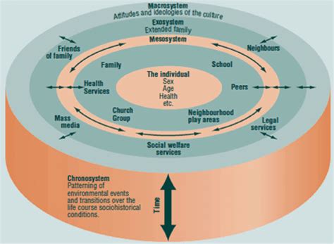 1 Bronfenbrenners Ecological Theory Of Development Source Bowes Jm