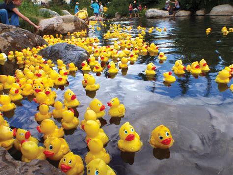 Its Time To Adopt A Rubber Duck For The 2023 Derby The Hudson Indy