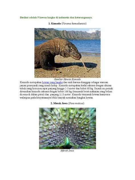 Gambar 10 Flora Fauna Langka Docx Documents 50 Contoh ...