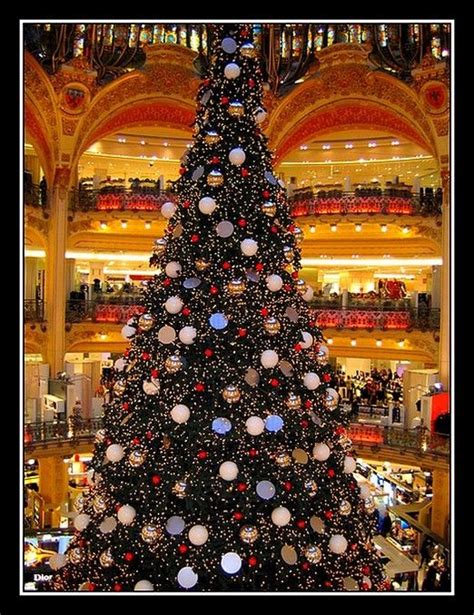 The Traditional Christmas Tree Of The Lafayette Galleries Paris