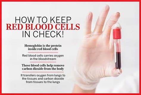 Low Hematocrit And Hemoglobin Fatigue