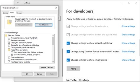 What Is Developer Setting Enable It To Control Pc Like A Pro