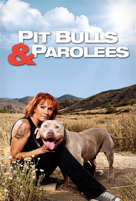 Pit Bulls And Parolees Season 9 Date Start Time And Details