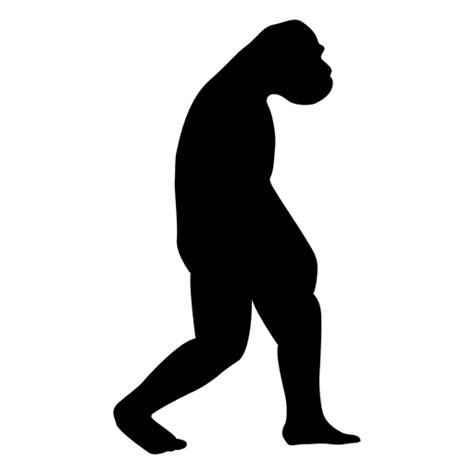 Human Evolution Png Designs For T Shirt And Merch