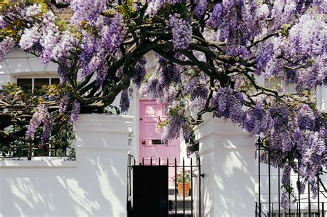Get flowers delivered today london. 44 Brilliant Things To Do In London In May 2019 | Londonist