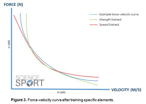 We did not find results for: Figure 3 - Force-velocity curve after training specific ...
