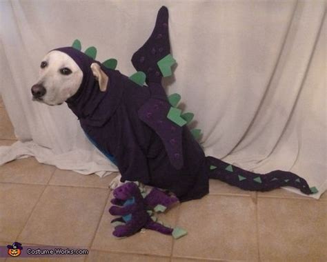 Doggie Dragon Halloween Costume Contest At Costume Dragon