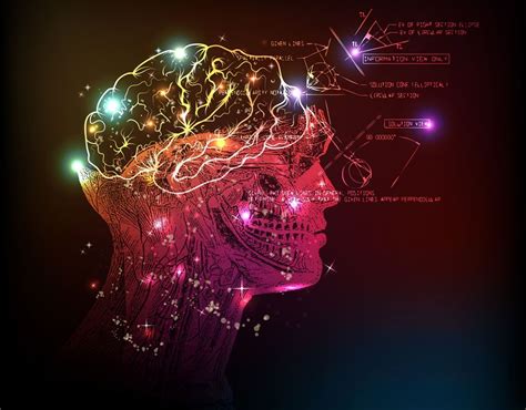 Can Human Consciousness Be Described As A Quantum Effect Learning Mind