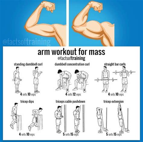 Arm Workout For Muscle Gain In Arm Workout Bodybuilding Workouts Biceps Workout