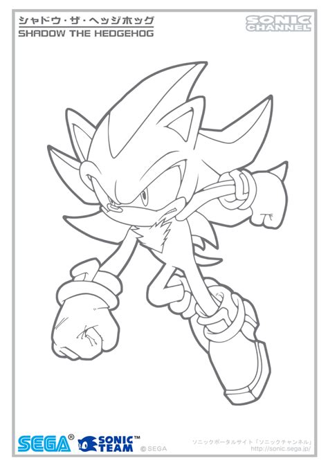 Nickel coloring page night coloring page nurse hat coloring page newfoundland dog coloring page number 12 coloring page ocean floor coloring page nuancier aquarelle isaro noahs ark super sonic coloring pages with images hedgehog colors free. Shadow coloring, Download Shadow coloring for free 2019