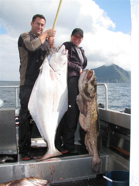 Alaska Halibut Fishing Alaska Fish On Charters
